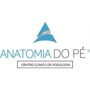 Anatomia do Pé – Centro Clínico de Podologia