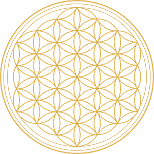 Maria Portugal Psicologia e Psicoterapias Integrativas