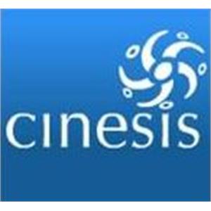 Cinesis - Clínica Fisiátrica de Espinho