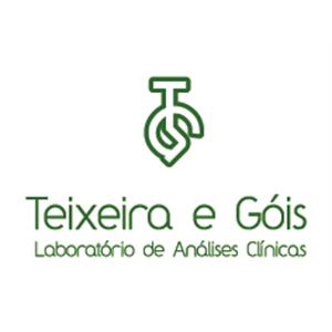 Laboratório De Análises Teixeira E Góis