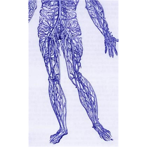 Ferreira Penêda-Angiologia E C.Vascular E Med.Estética