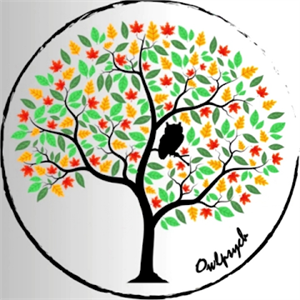 Consultório de Psicologia Clínica, Owlpsych