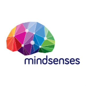 Mindsenses - Espaço Snoezelen e Serviços Terapêuticos