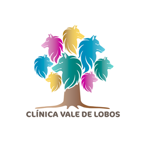 Clínica Vale de Lobos 